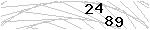 驗證碼