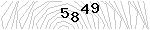 驗證碼