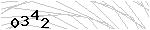 驗證碼