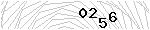 驗證碼