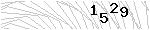 驗證碼