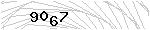 驗證碼