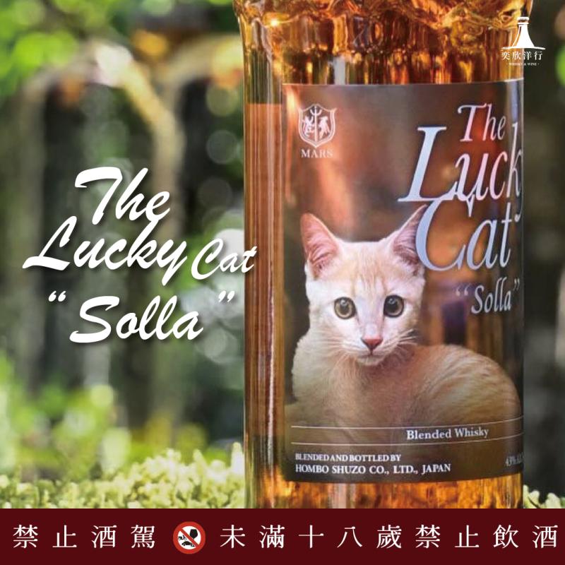 幸運貓系列第11彈│栗子奶油色的小貓索拉